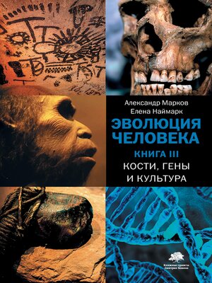 cover image of Эволюция человека. Кн. 3